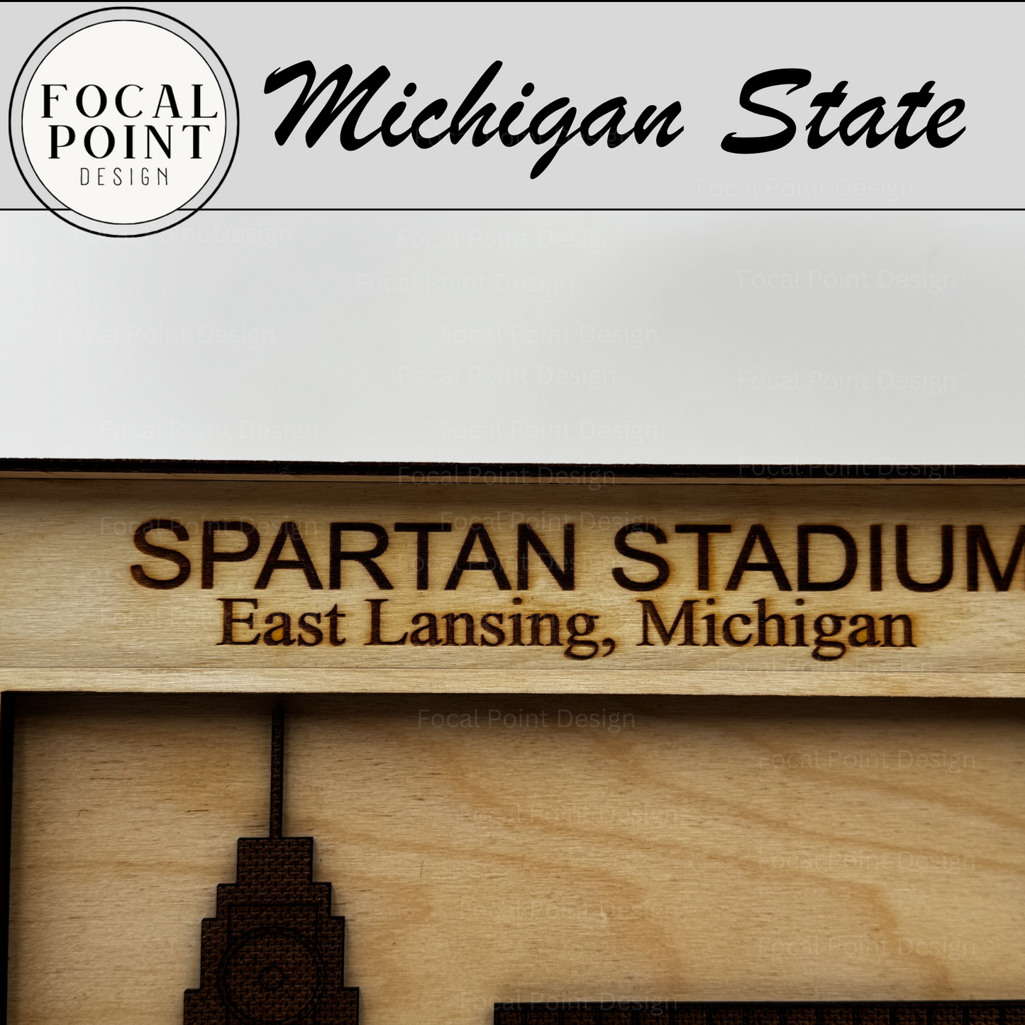 Michigan State Spartan 3D layered Stadium